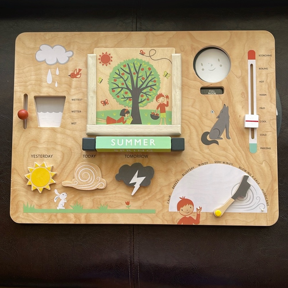 Tender Leaf Toys Weather Watch Board